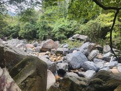 -石台牯牛降景区