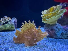 -上海海洋水族馆