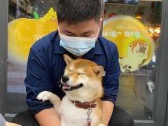 -帕帕拉兹宠物(亚洲旗舰店)