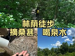 -北京凤凰岭