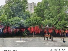 -古德寺