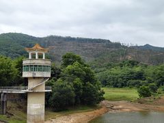 -东莞市大岭山森林公园