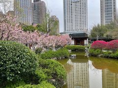 -江宁织造博物馆