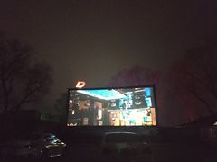 -枫花园汽车电影院(朝阳公园店)