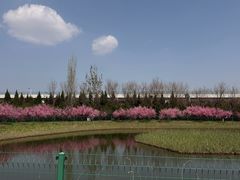 -济南植物园