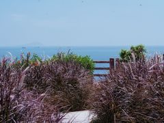 -东澳岛