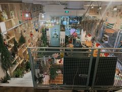 -Kitchen·Y洋厨房西餐厅(王府壹号店)