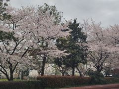 -南浦大桥长途旅游客运站