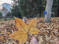 -中关村生命科学园