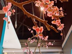 -老板恋上鱼(振华商厦店)