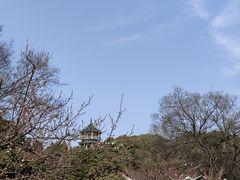 -无锡梅园公园