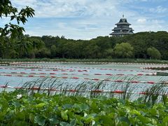 -金鸡湖桃花岛