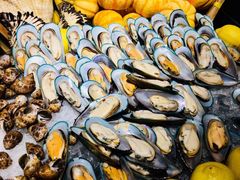 海螺-威珀斯酒店·珀萃美食餐厅 | 海鲜刺身·现烤生蚝·特色烤肉