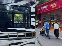 -深圳野生动物园