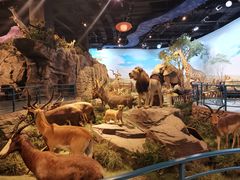 -陕西自然博物馆