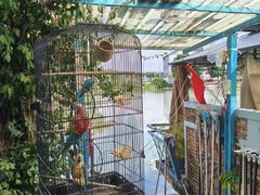 -水岸居湖景农家乐·阳澄湖大闸蟹