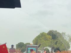 -合肥滨湖国家森林公园