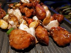 -老板恋上鱼(恒隆广场店)