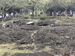 -海口火山口国家地质公园