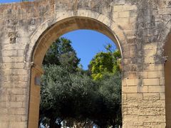 -上巴拉卡花园和下巴拉卡花园