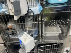 -半岛宠物医院24小时(白果林店)