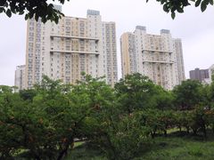 -新江湾城公园