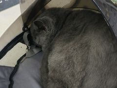 -联合动物医院(光谷诊疗中心)