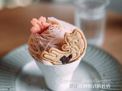 樱花杯-猫里有甜