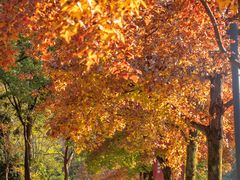 -浙江大学(紫金港校区)