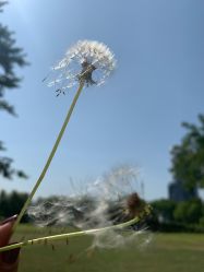 -大望京儿童游乐场