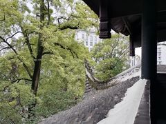 -阳明祠