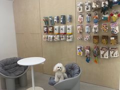 -comecome来吧宠物(奥克斯中心店)