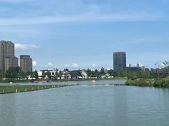-三垟湿地