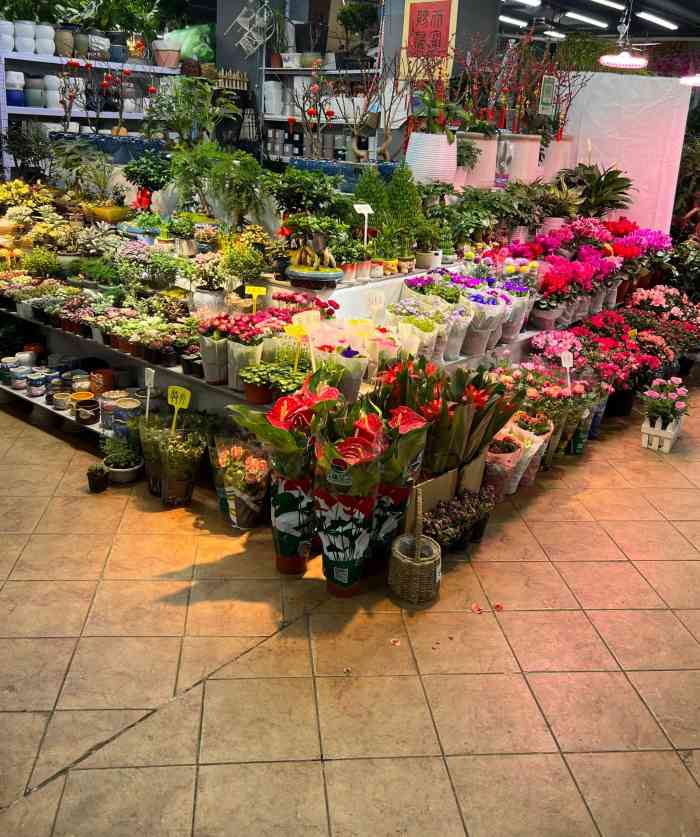 青怡坊花鸟鱼宠交易中心-"青怡坊,长春人民都知道的老牌花市.但作.