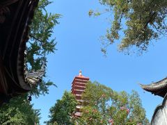 -宝光寺