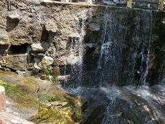 -王顺山国家森林公园
