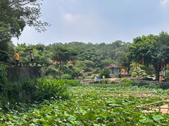 -广州莲花山旅游区