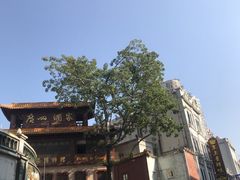 -广州酒家(文昌总店)