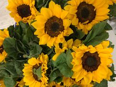 -花邻FloweringLife花艺气球派对(武康大楼店)