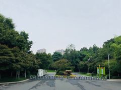 -青枫公园