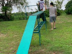 -上海崇明金茂凯悦酒店