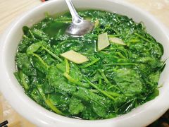 -东吴霸王兔(松青路店)