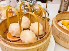 -金鼎轩(方庄店)