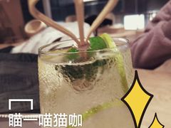 -瞄一喵猫咖(格力海岸店)