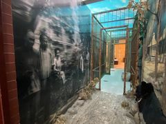 -北京动物园-畅观楼