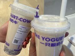 -一只酸奶牛(时代天街A馆店)