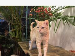 -小时光咖啡馆(北锣鼓巷店)
