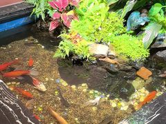 -隐炉和牛烧肉店(群力店)