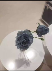 -海茱雅科技健康美容