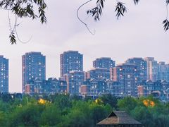 -前关湿地公园